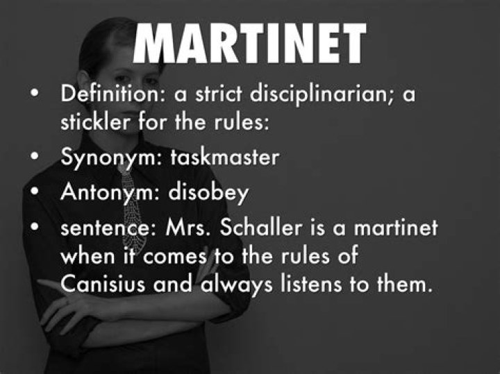 What does martinet definition?