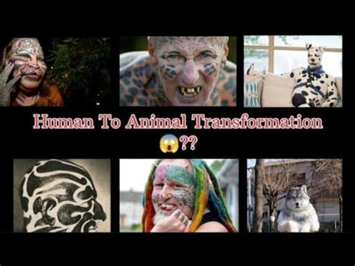 What does the word animalization mean?