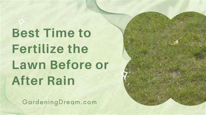 What happens if I don't fertilize my lawn?