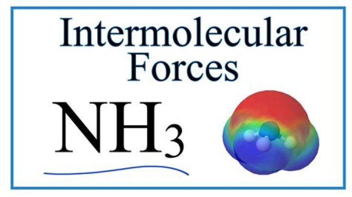 What intermolecular forces are in nh3?