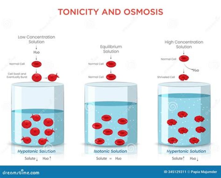 What is an example of tonicity?