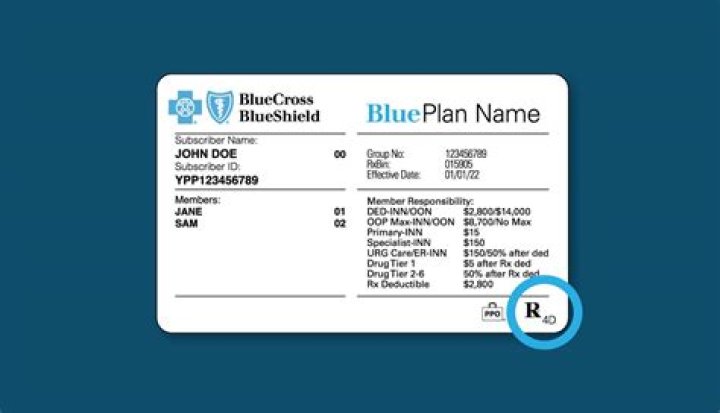 What is Blue Cross PPO?