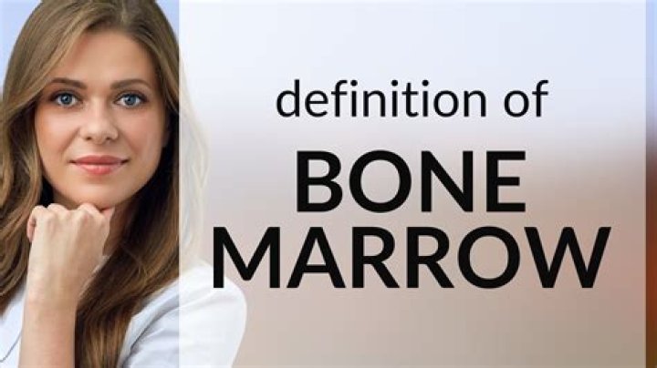 What is bone marrow meaning?