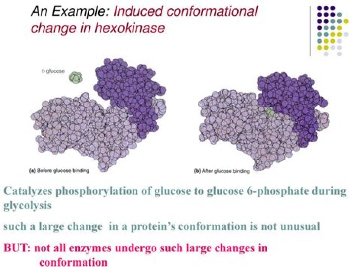 What is conformational change?