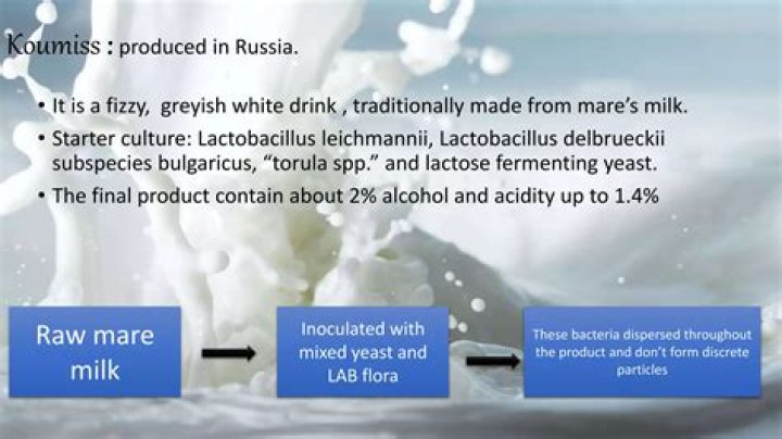 What is koumiss made of?