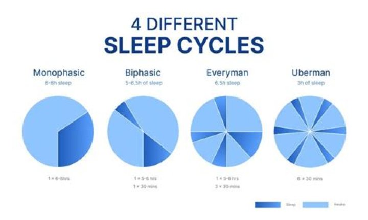 What is polyphasic sleep?