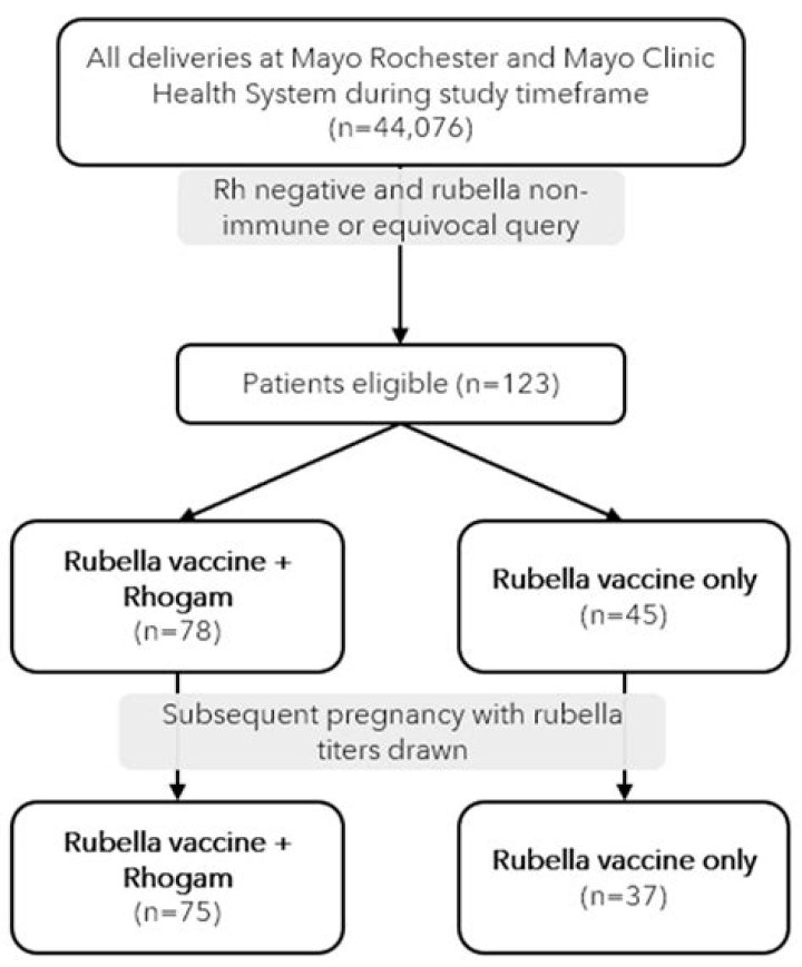 What is rebella robby hayes?