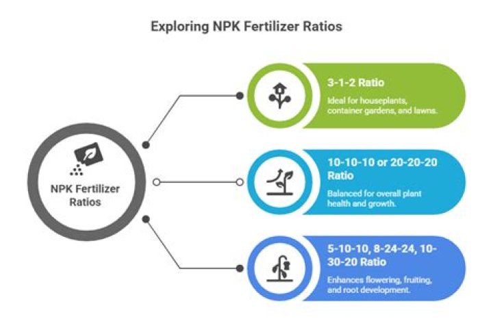 What is the best NPK ratio for plants?