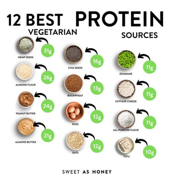 What is the best source of meat protein?