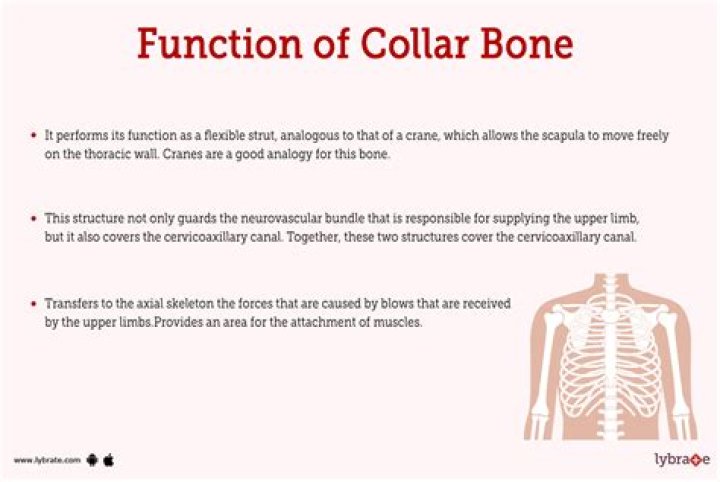 What is the function of colicin?