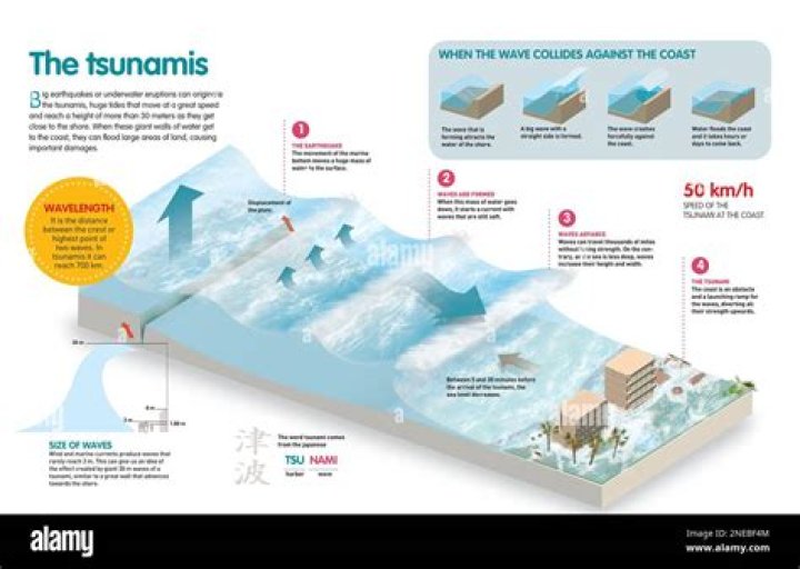What is the main cause of a tsunami?