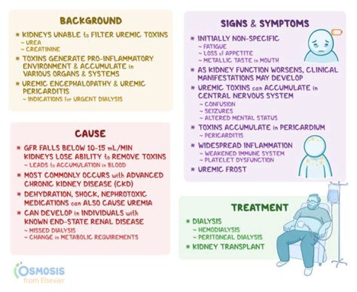 What is the main cause of uremia?