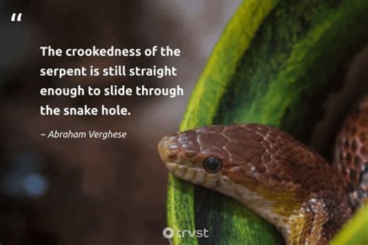 What is the meaning of crookedness?