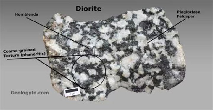 What is the percentage of plagioclase in a typical granite?