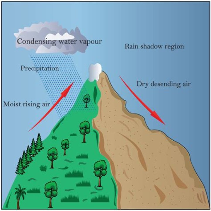 What is the role of convection in producing the rain shadow effect?