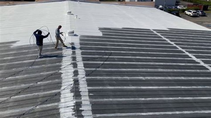 What is white roof coating?