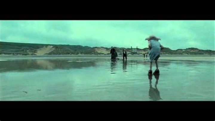 What movie does dobby die?