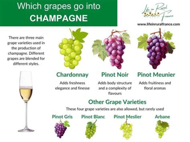 What soil type is considered ideal for the cultivation of champagne producing grapes?