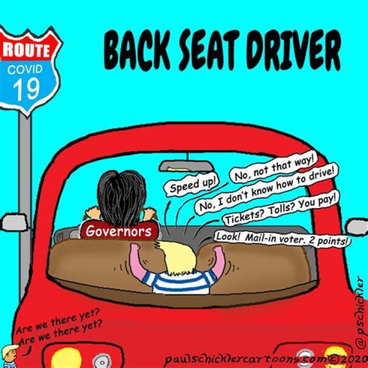 Whats a backseat driver?
