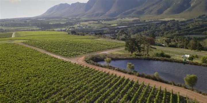Whats on in stellenbosch?