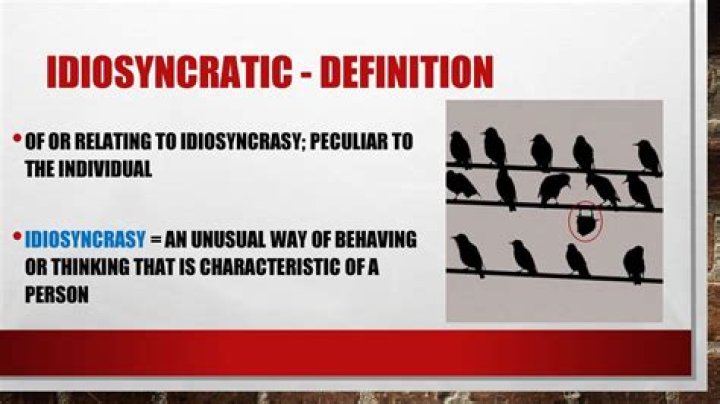 Whats the definition of idiosyncratic?