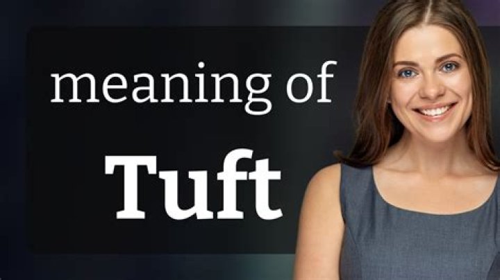 Whats the definition of tufts?