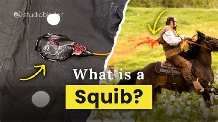 Whats the meaning of squib?