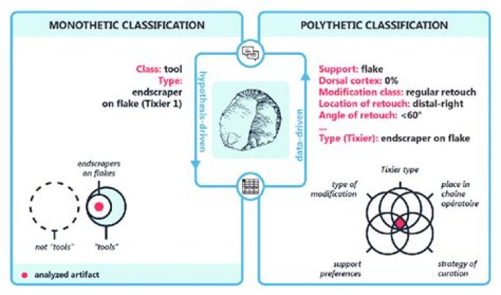 When a classification system is polythetic what does this mean?