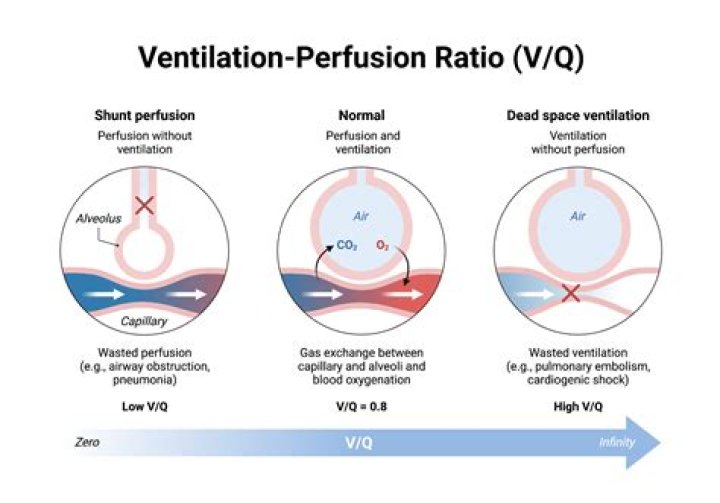 When alveolar ventilation decreases?
