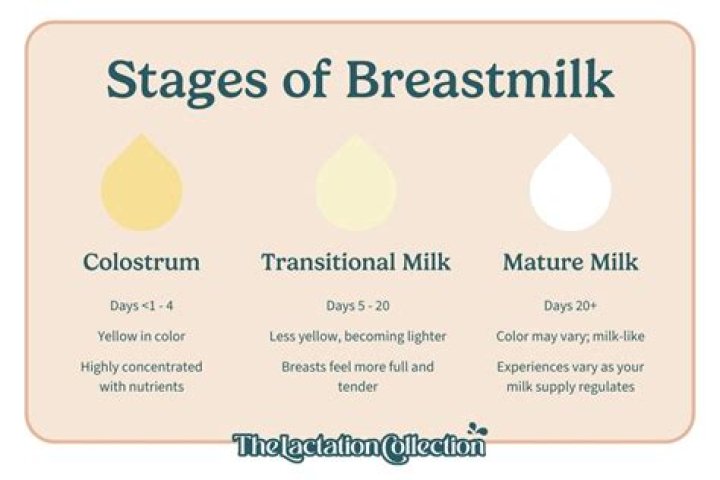 When breast milk regulates?