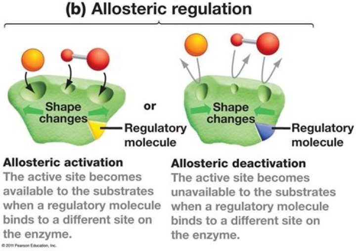 When does allosteric regulation occur?