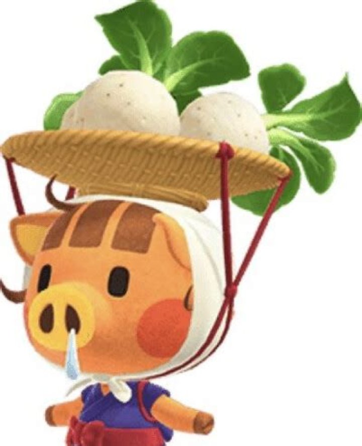 When does daisy mae leave?