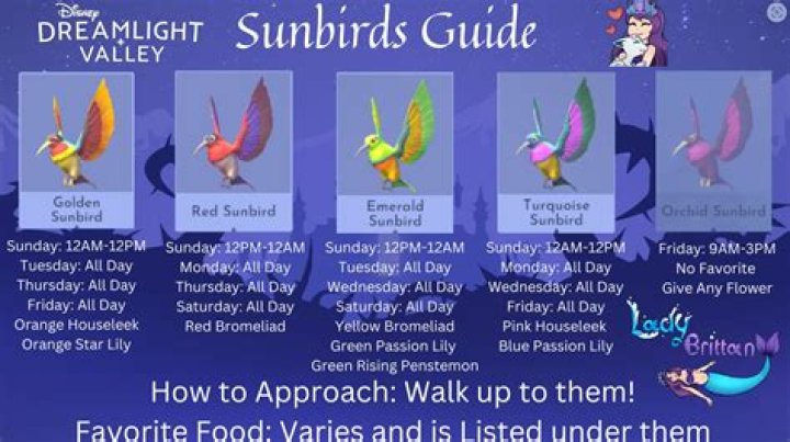 When is sunbird coming out again?