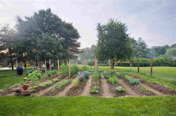 When should I plant my vegetable garden in Pennsylvania?