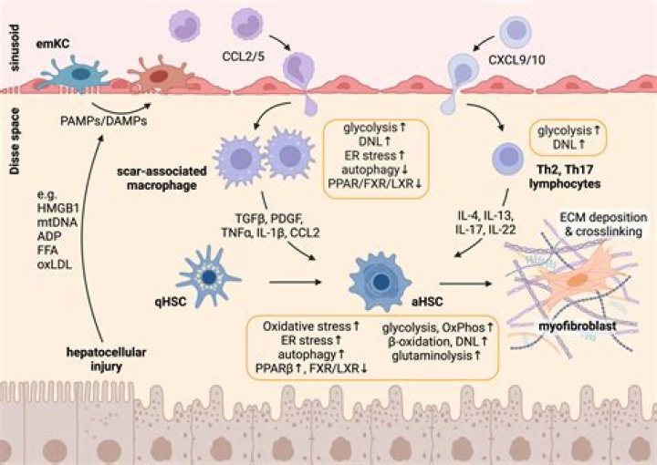 Where did hanna get the passway pill?