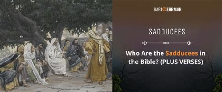 Where did the sadducees come from?