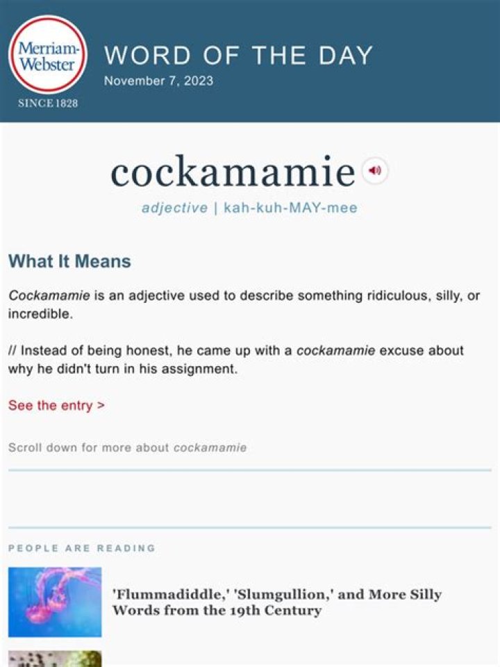 Where did the word cockamamie originate from?