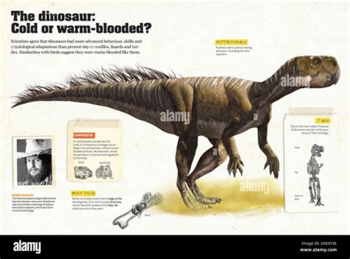 Where dinosaurs warm or cold blooded?