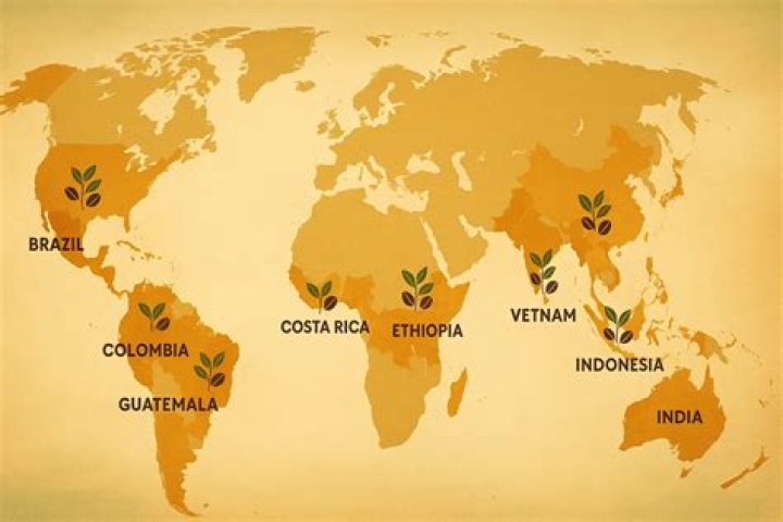 Where do chileans originate from?
