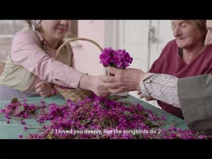 Where do cyclamens come from?