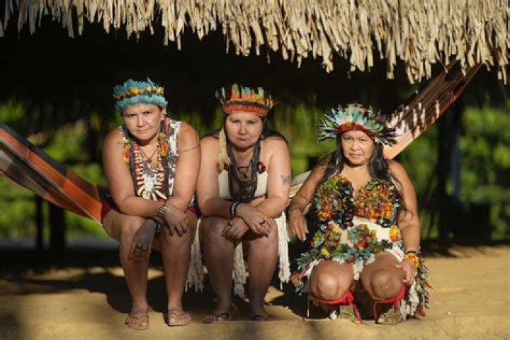 Where do the ticuna tribe live?