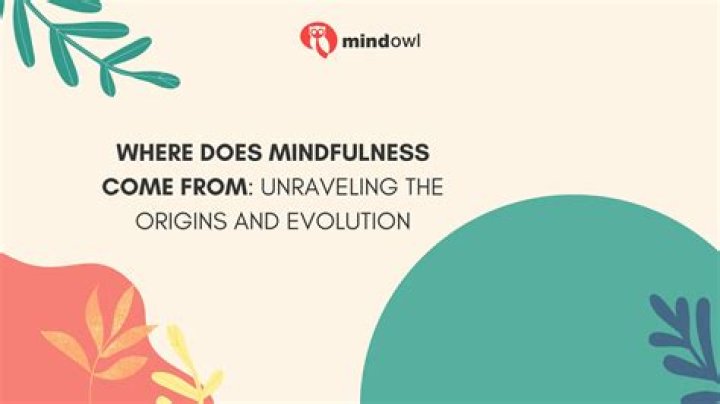 Where does mindfulness come from?