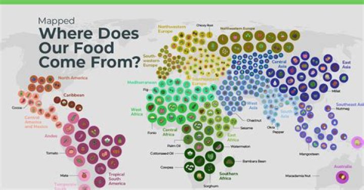 Where does salicin come from?