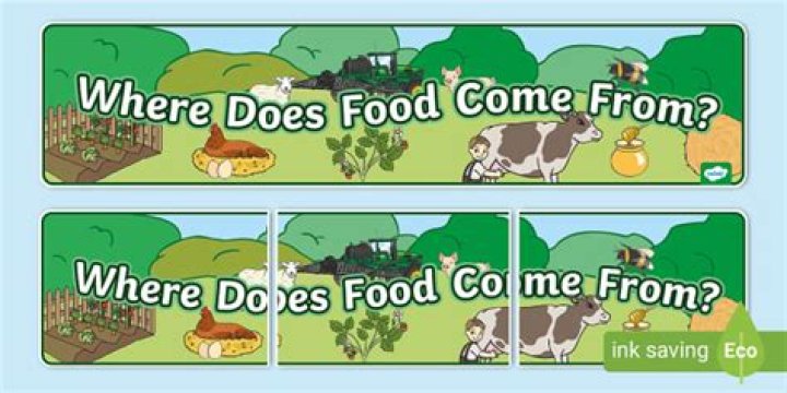 Where does soigne come from?