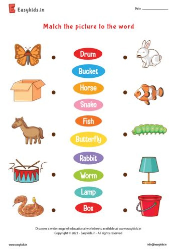 Where does the word c section come from?