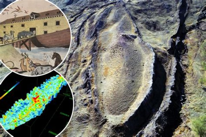 Where is flagroot found?