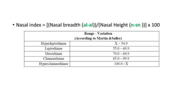 Where is the nasal index?