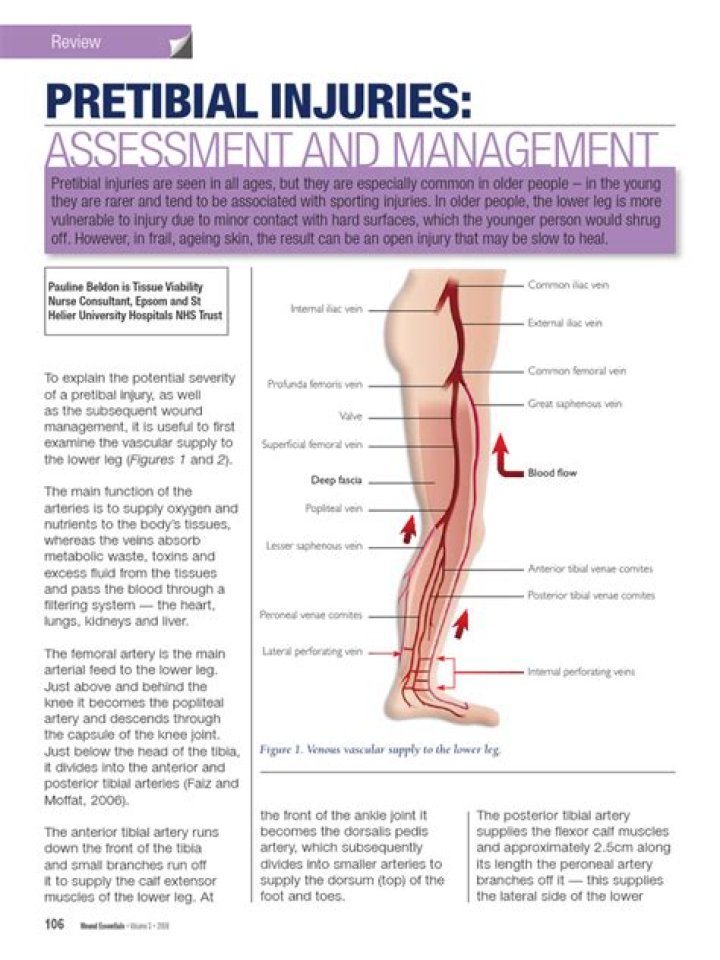 Where is the pretibial area located?