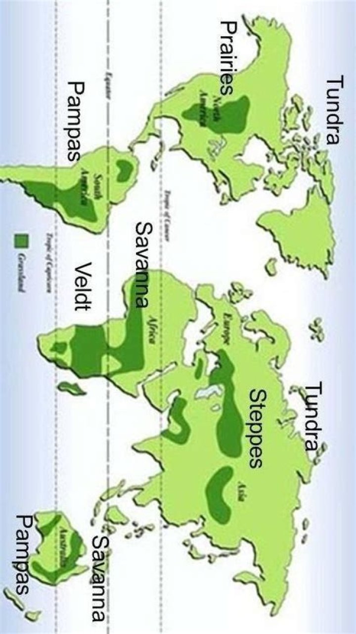 Where prairies are located?