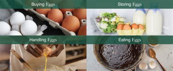 Where should eggs be stored?